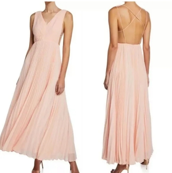 Fame and Partners Dresses & Skirts - NWT Fame & Partners Strappy Pleated Chiffon Dress Light Pink size 12 gown